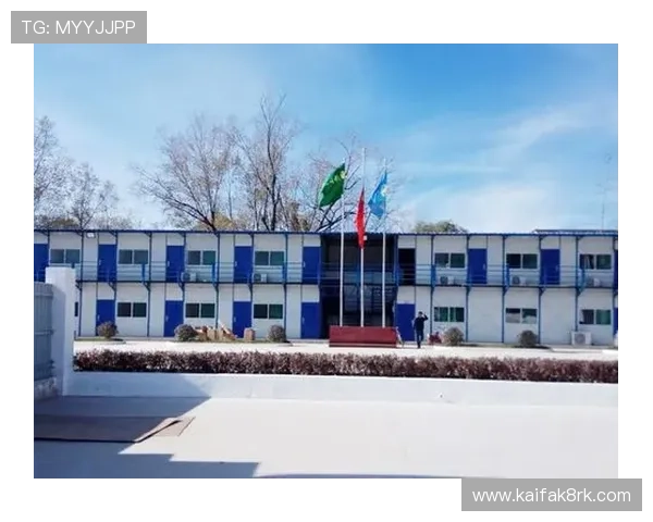 凯发国际k8官网最新优惠活动及充值返利方案详细解读帮助玩家提升收益